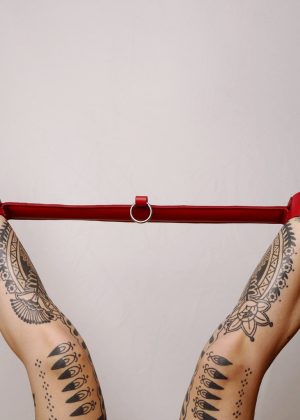 Barre de contrainte cuir et anneau Rouge